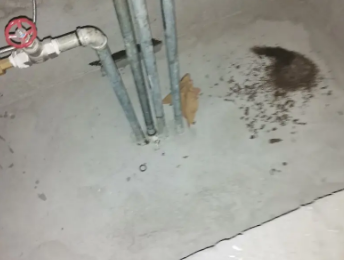 青岛卫生间测漏水价格明细